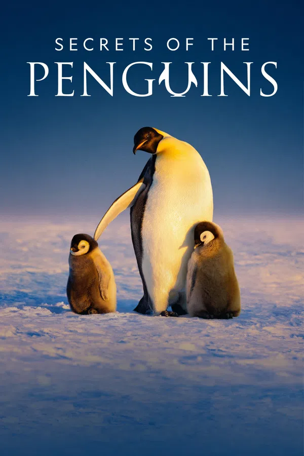 Poster phim Secrets of the Penguins trên PhimMoi